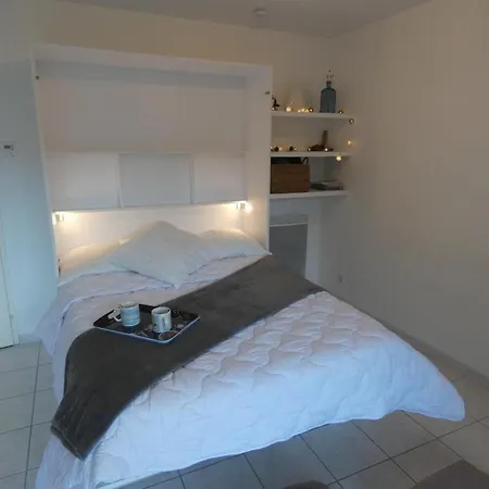 Maison 40m² Avec Piscine, Wifi Et Jardin Prive - Ideale Pour 4 Personnes A - Fr-1-540-145 Feriehus